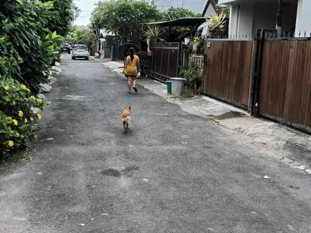 Tanah Jaya Giri Renon Denpasar