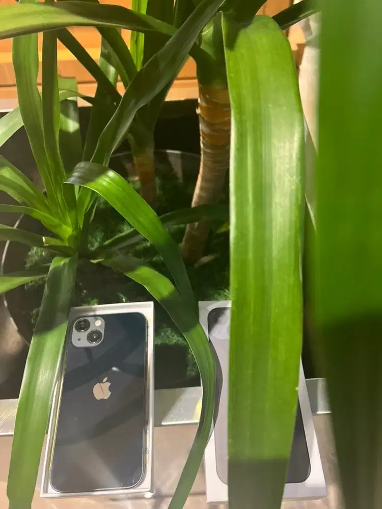 iphone 13 128gb terbuat baru