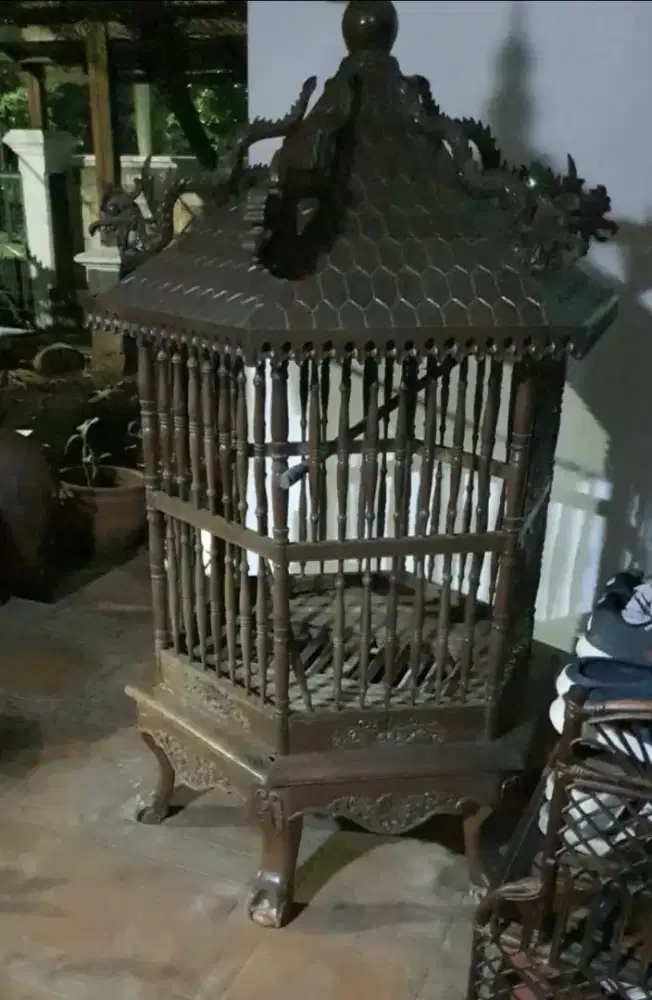 Kadang Ayam Bekisar Dijual