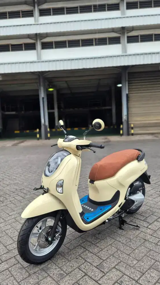 HONDA SCOOPY STYLISH