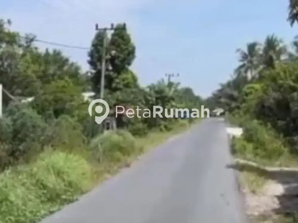 DIJUAL TANAH JALAN DESA PEMATANG KUING - DAERAH SERDANG BEDAGAI