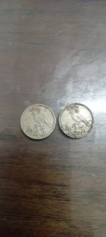 Koin 25 rupiah 2 keping
