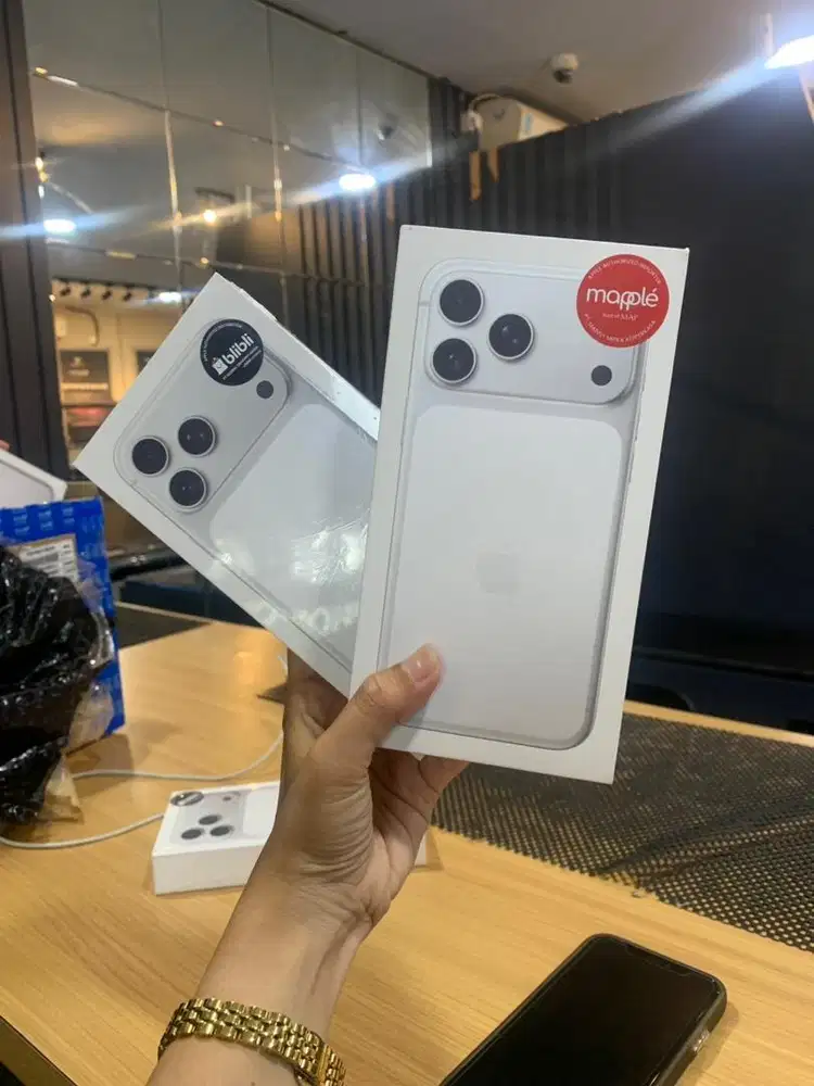 17 Promax 256GB Silver New Unit BNIB