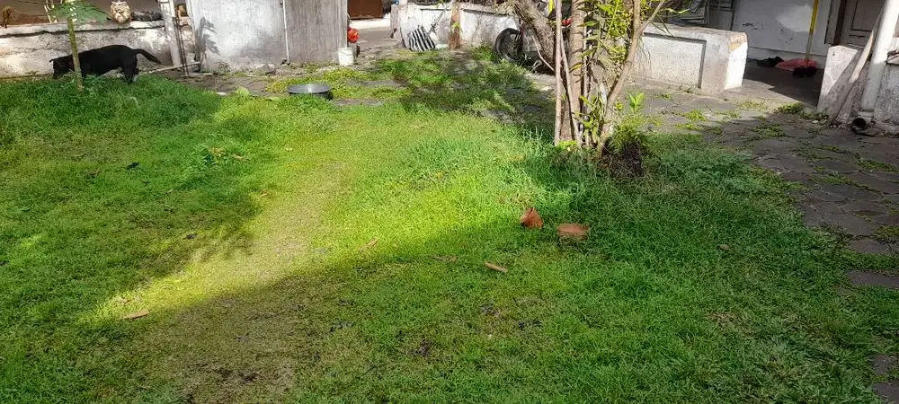 Asisten masak dan jaga kedai kopi