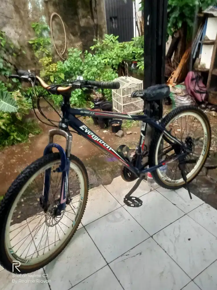 Mtb evergreen ring 26