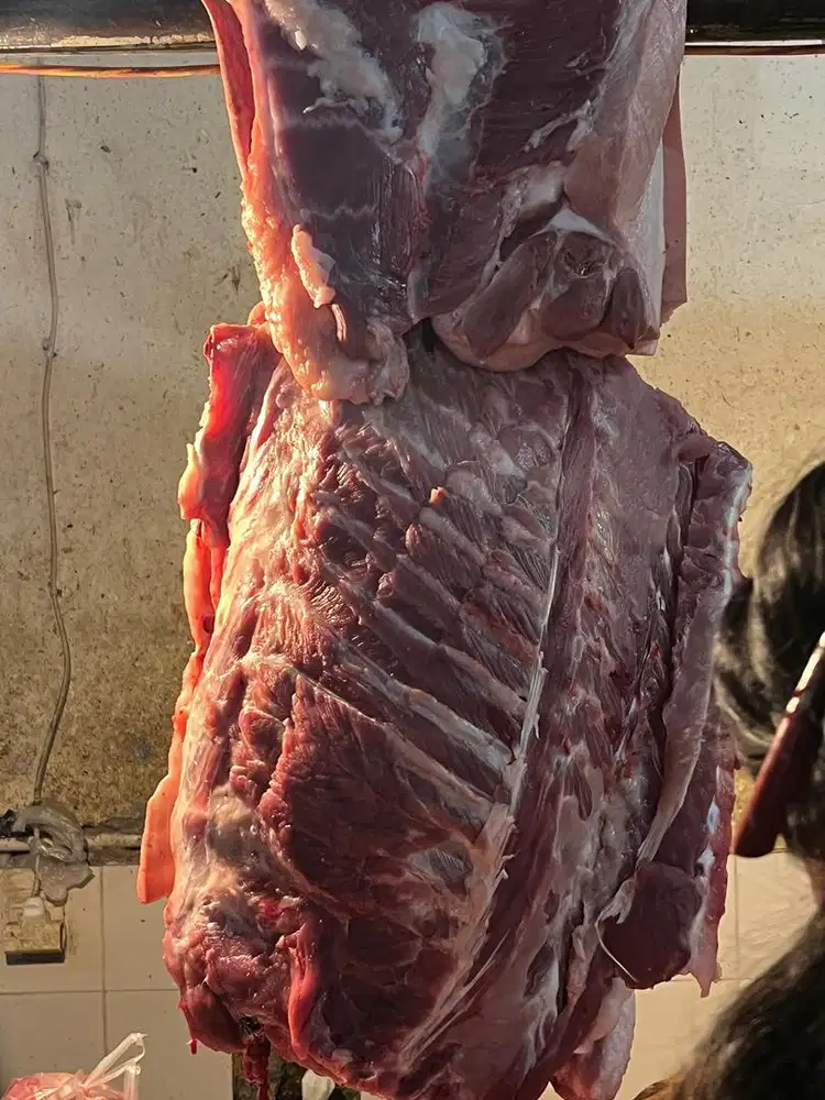 JUAL DAGING SEGAR B2