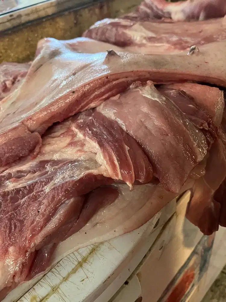 JUAL DAGING SEGAR B2