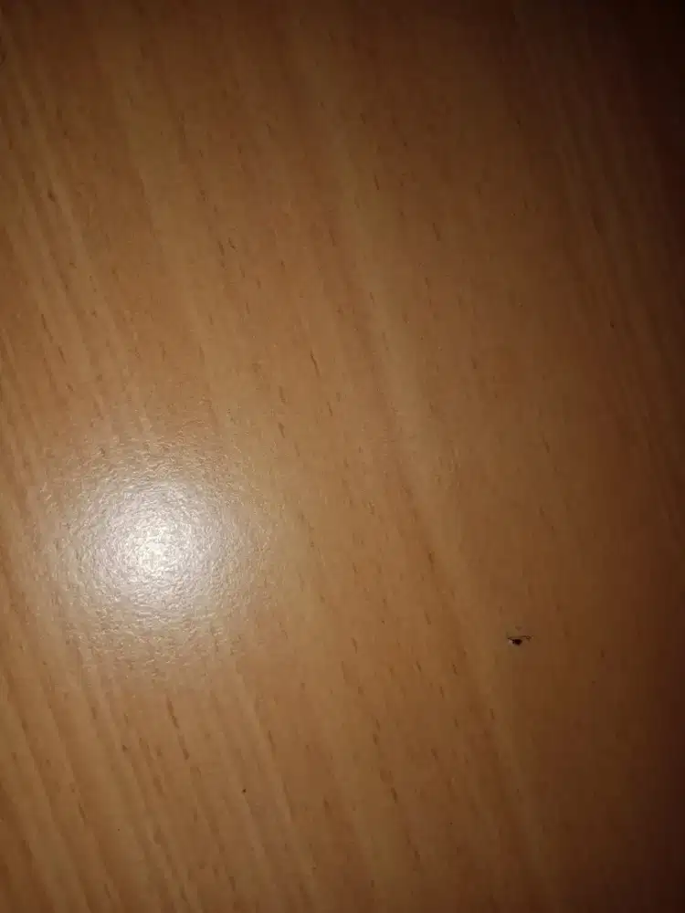 Cari pekerjaan apa aja