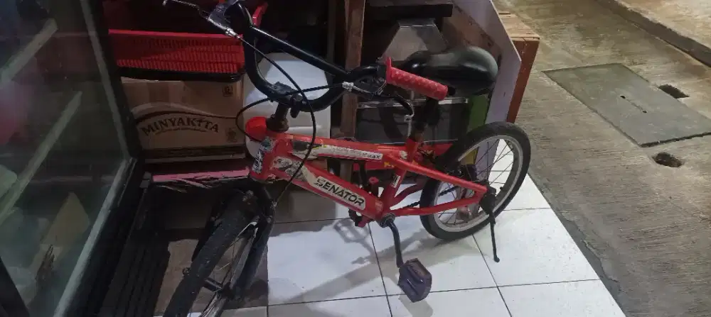 Sepeda anak 6 tahun