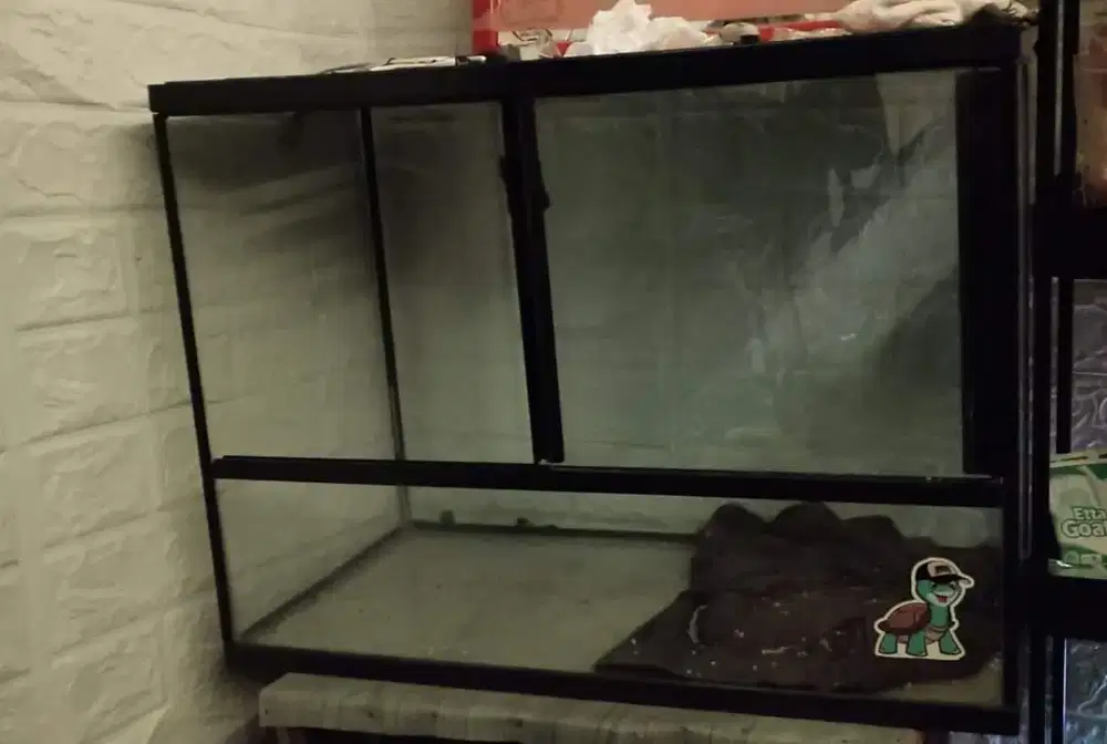 exoterra / terrarium kaca / kandang reptil , kura