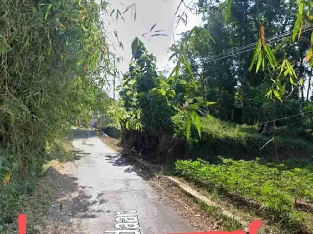 Jual Tanah Dibawah NJOP Lokasi Jln Padaan Ngadirejo Ngaliyan Semarang Barat