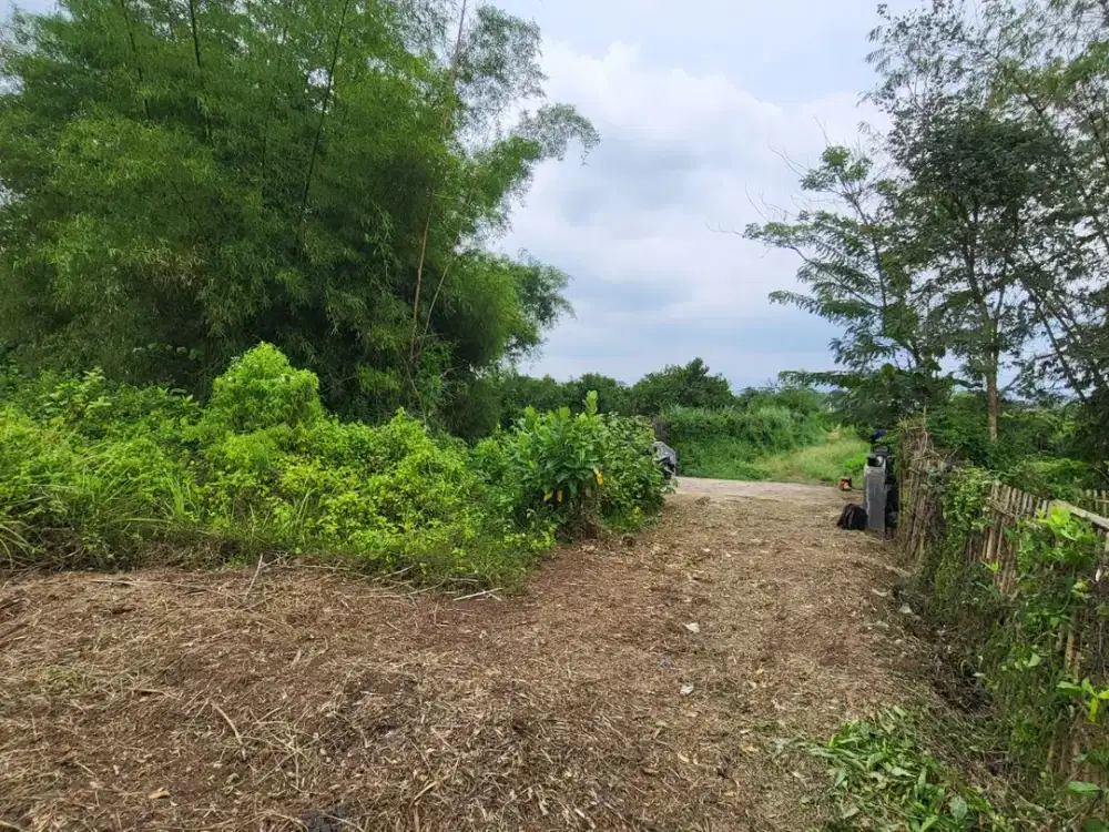 Area Klandungan Legalitas aman Tanah Bebas Banjir