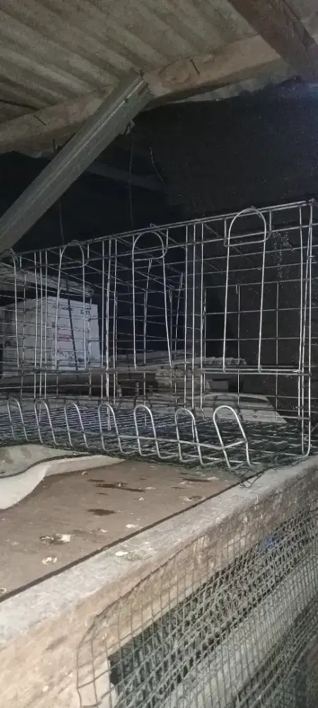 Kandang ayam petelur 3 sekat