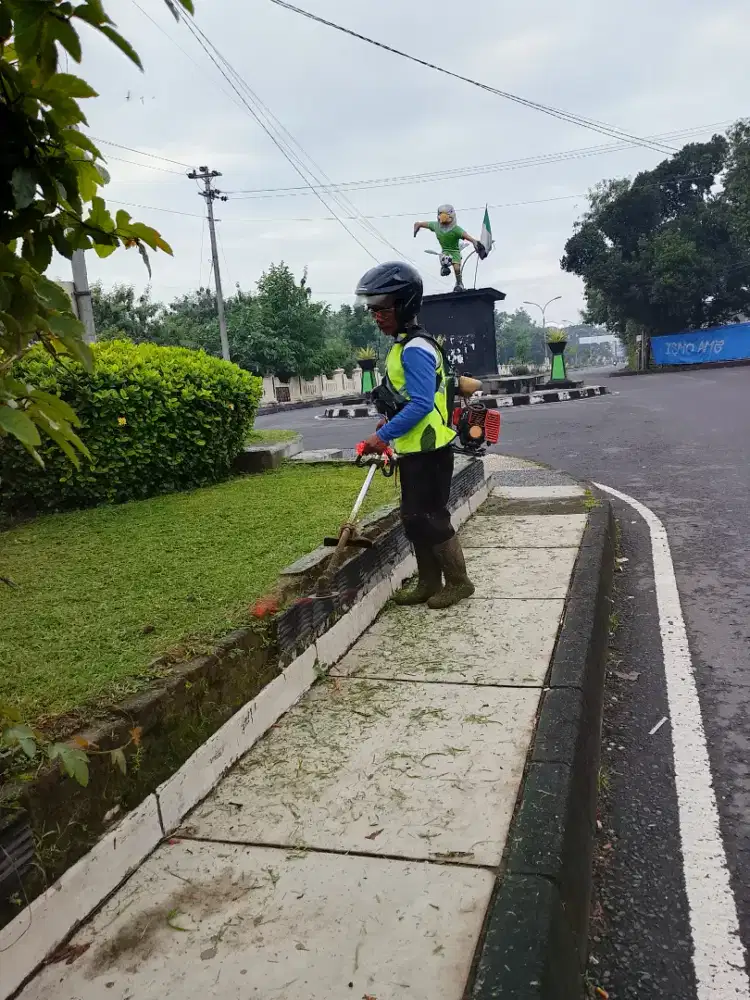 Jasa bersih rumput sleman
