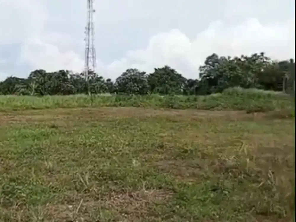 Tanah Di Jual Di Kelapa Dua Tangerang Banten