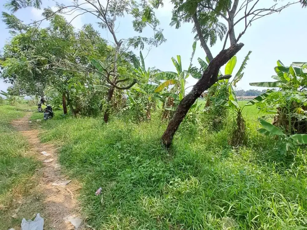 Dijual Tanah di Walahar Karawang