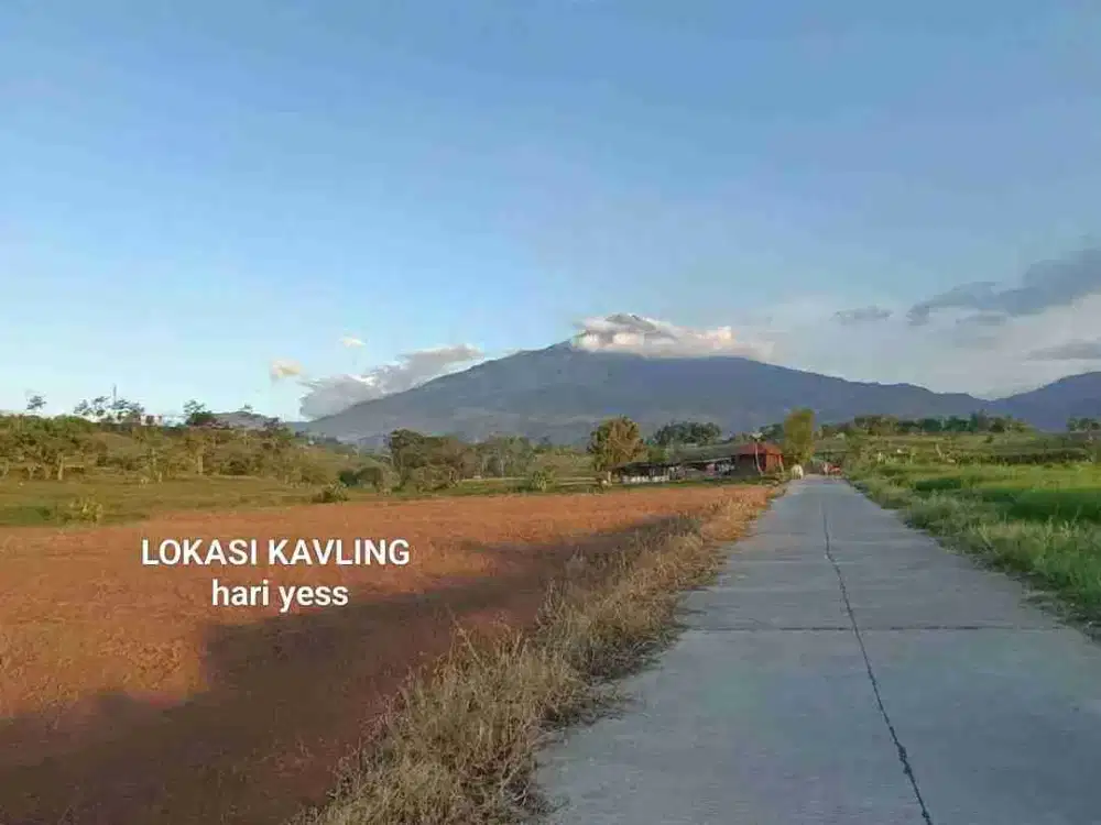 TANAH KAVLING VIEW GUNUNG PACET MOJOKERTO