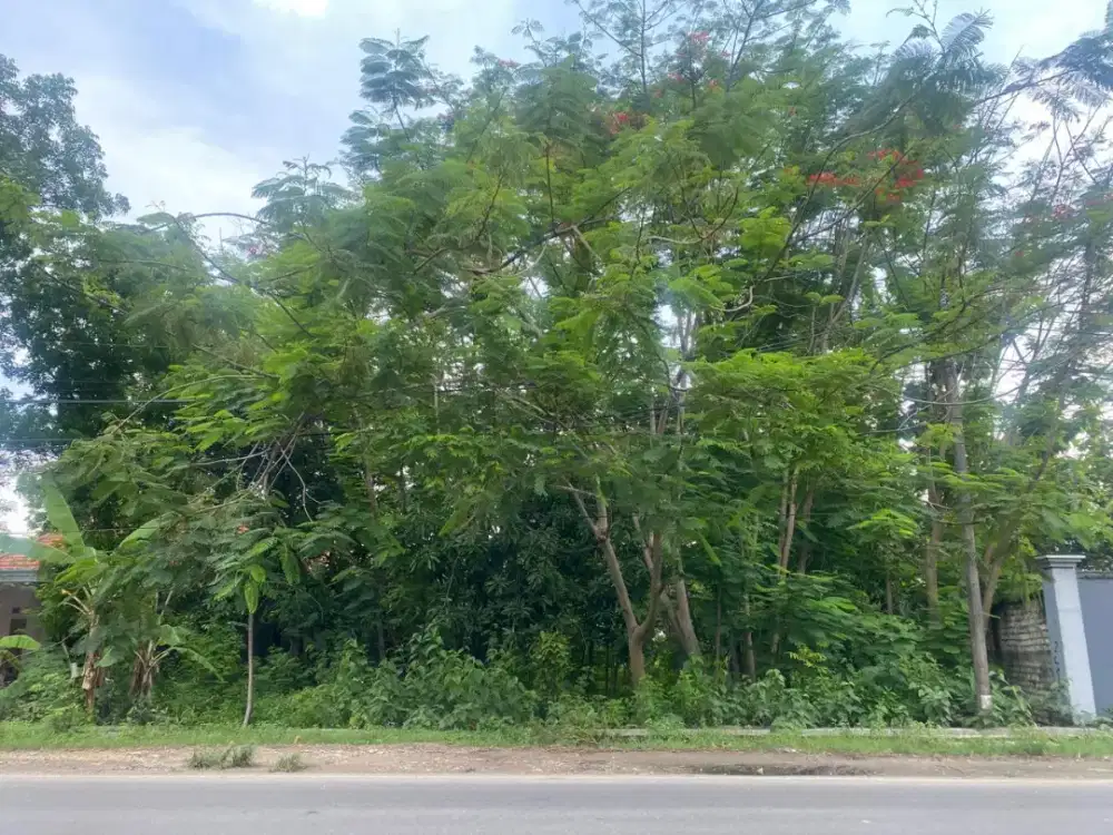 DIJUAL TANAH TUBAN BOJONEGORO SEGERA