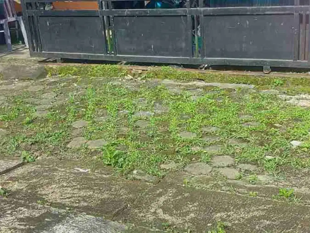 DIJUAL RUMAH SIAP HUNI DEKAT SMA TARUNA NUSANTARA 

Luas tanah 150 m2
Kt 2 , Km 2
dapur , Gudang 
SHM 
AKSES MOBIL 
HARGA 350 Juta nego