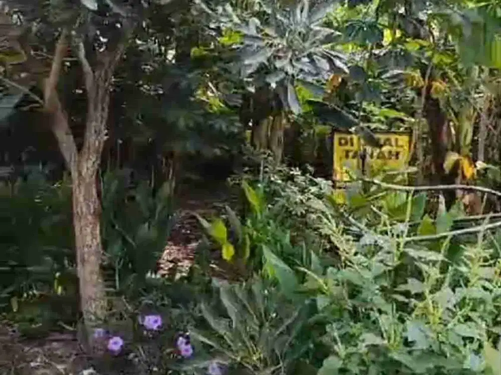 Tanah Gayung Kebonsari