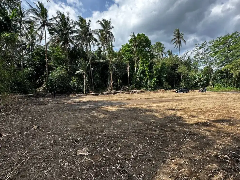 Tanah Area Pemda Sleman SHM Siap Bangun Dekat Jl Magelang