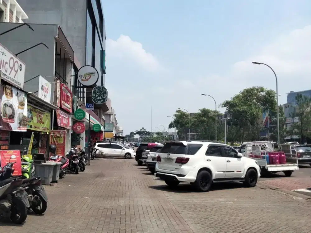 RUKO HADAP JALAN RAMAI COCOK UNTUK INVEST South Goldfinch Gading Serpong