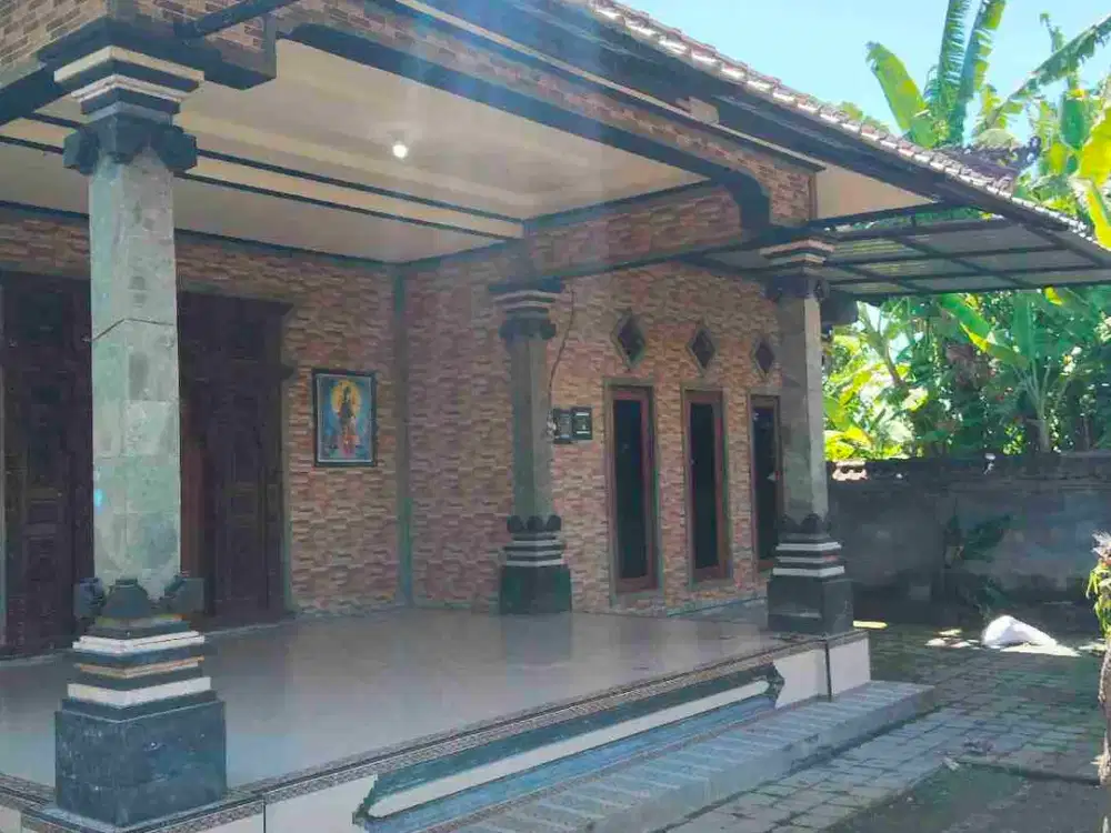 disewakan rumah minimalis dengan pekarangan luas