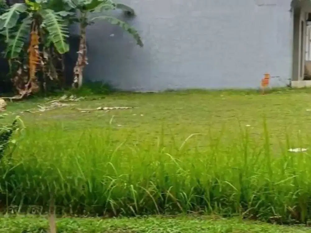 Kavling Alam Suter Cluster Sutera Jelita Tangerang Selatan