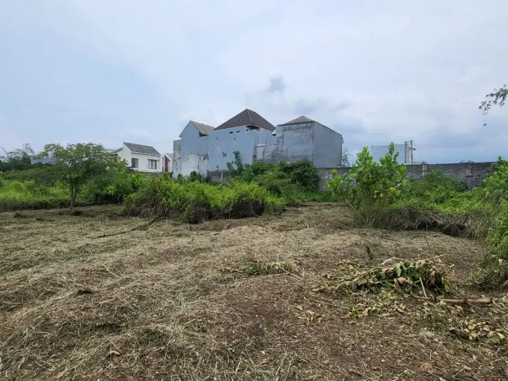 Legalitas aman Tanah Murah Bebas Banjir Area Landungsari