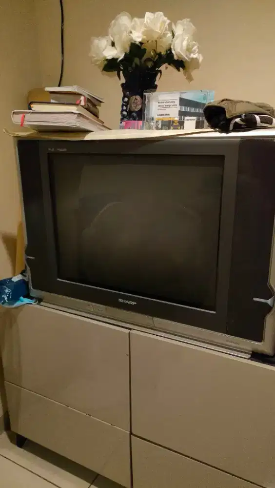 TV sharp alexander 29 inch remote