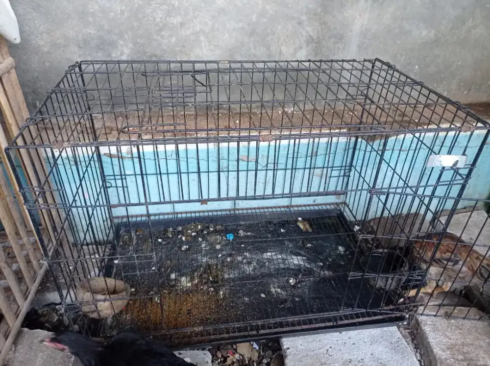 kandang besi lumayan jos