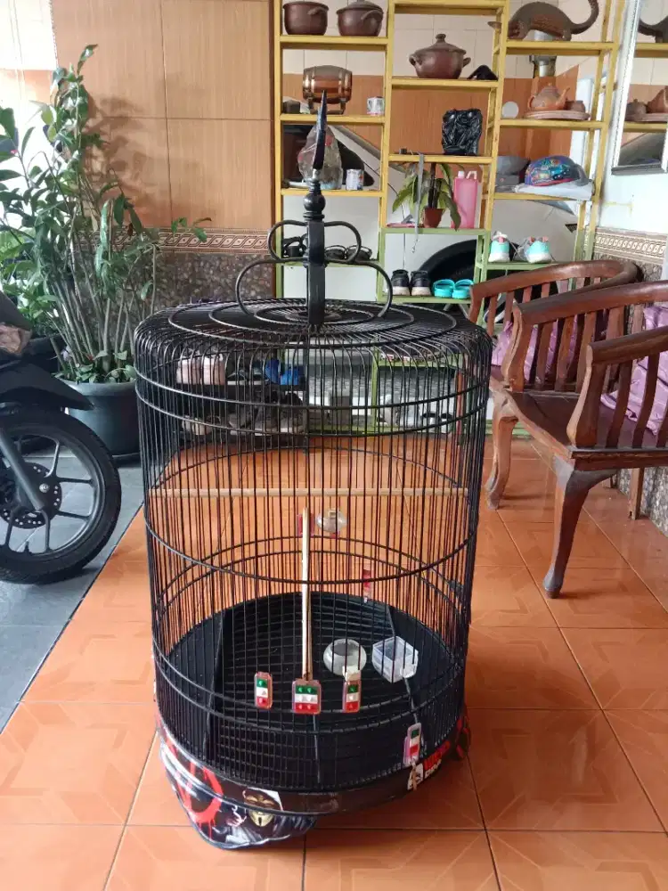 Bismillah, jual sangkar murai no 1