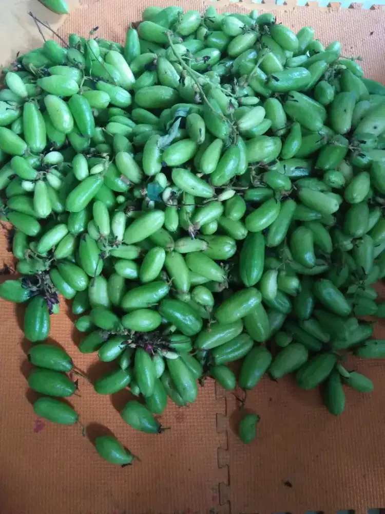 Buah belimbing wuluh