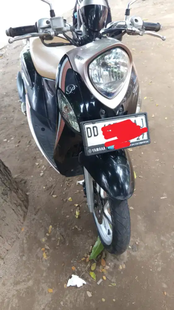 Fino premium terawat