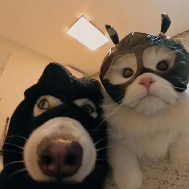 IPHONE 12 promax 128 warna blue ocean garansi resmi ibox komplet