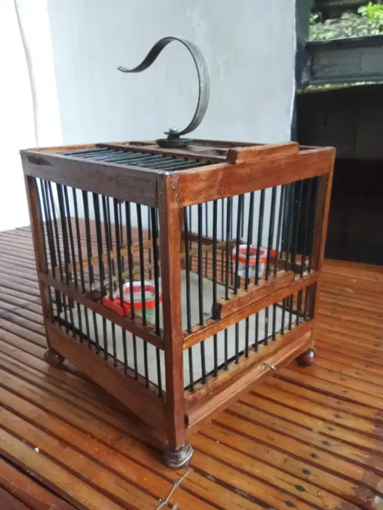 kandang burcil kotak