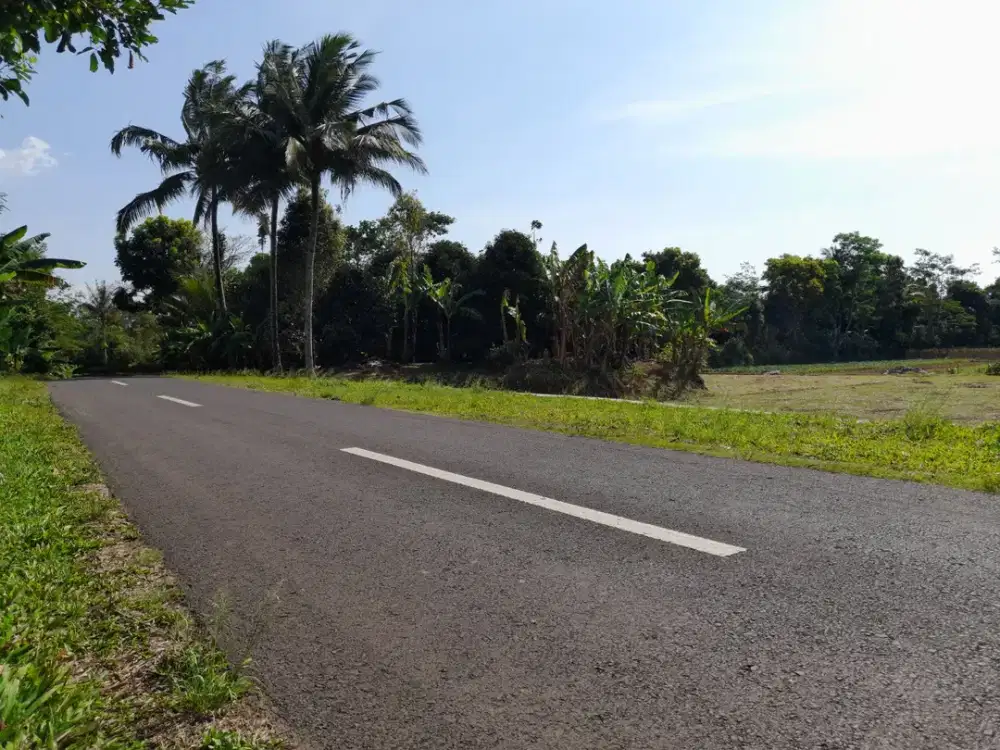 Tanah Kebun dan Sawah Piggir Jalan Wanayasa Purwakarta Dijual Murah