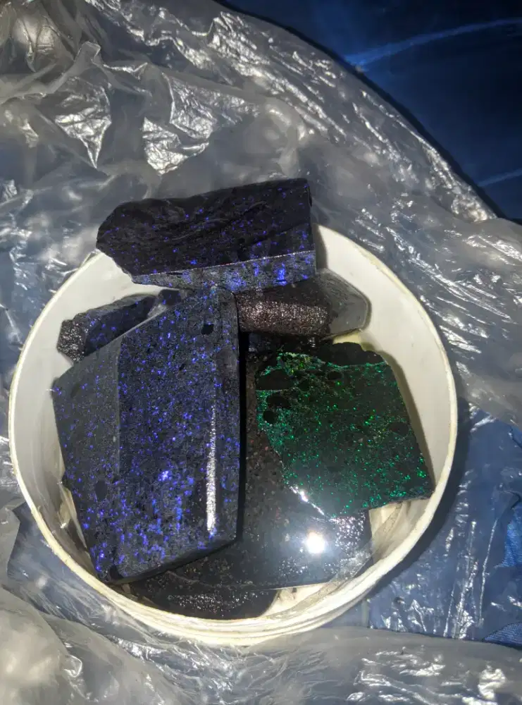 Black opal koral banten borongan