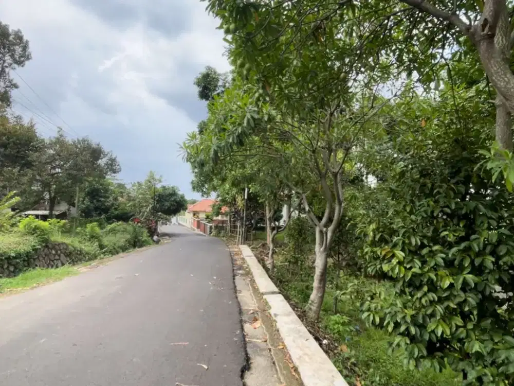 Dijual Tanah Kebun Manggis Pinggir Sungai Kecil di Wanayasa Purwakarta