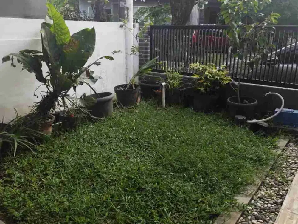 sewa rumah furnish taman  yasmin bogor