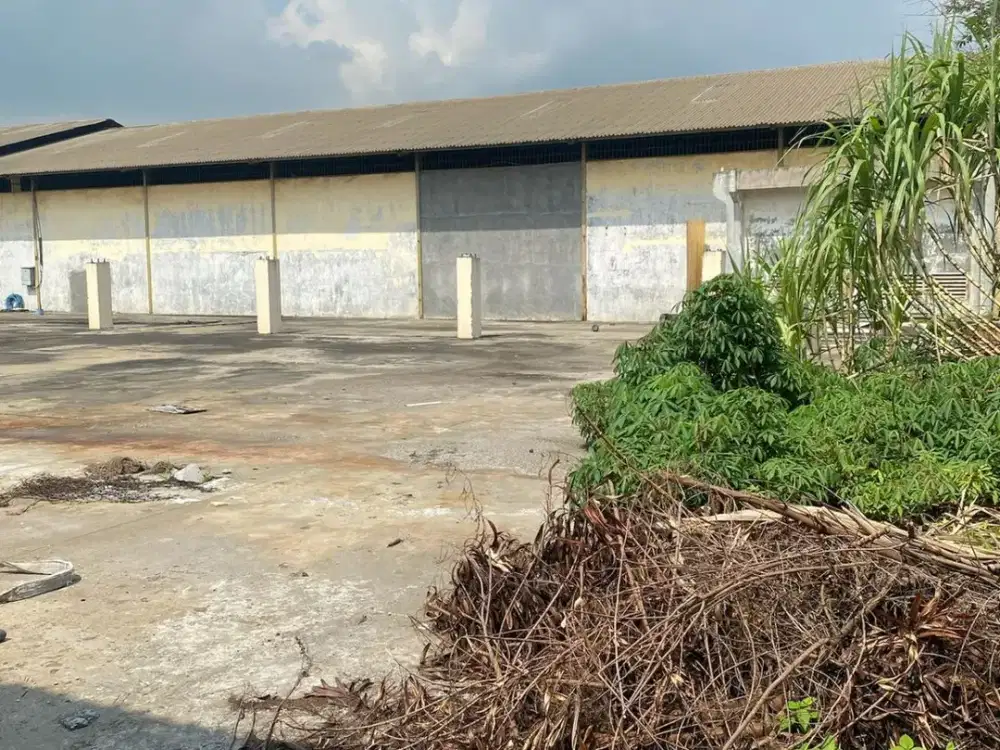 DISEWAKAN TANAH KAPUK KAMAL DENGAN LUAS 2376M2 JAKARTA