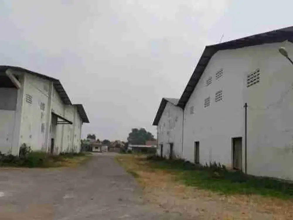 Jual Gudang Jombang Lokasi Peterongan Jombang