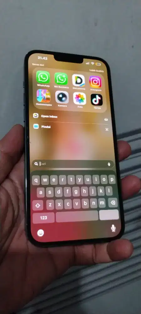 iPhone 13 promax 256