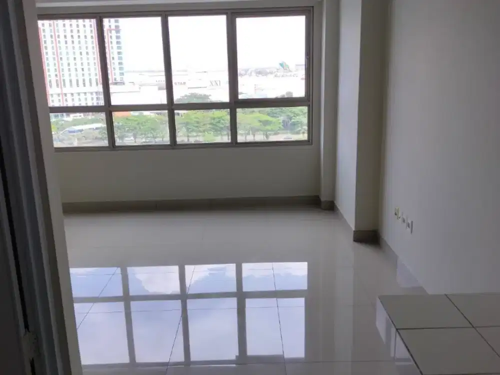 Apartemen Baru Dijual Tower Elodea The Springlake Kolam Renang
