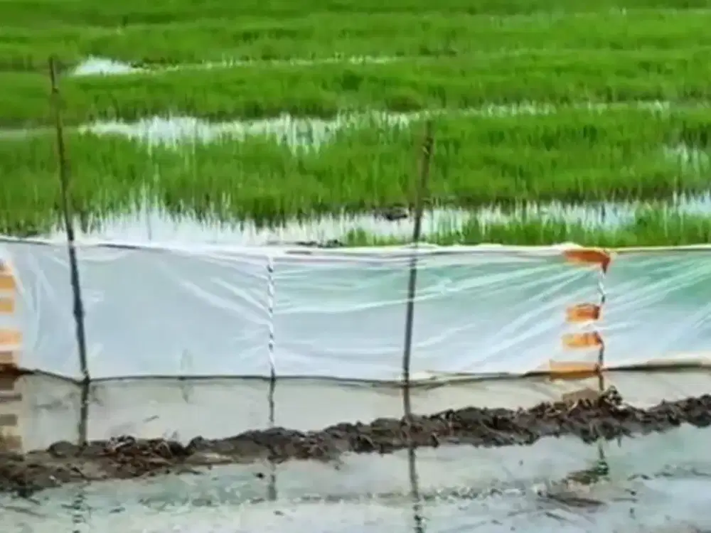 Tanah sawah di Majalaya Bandung Mainroad Lokasi strategis
