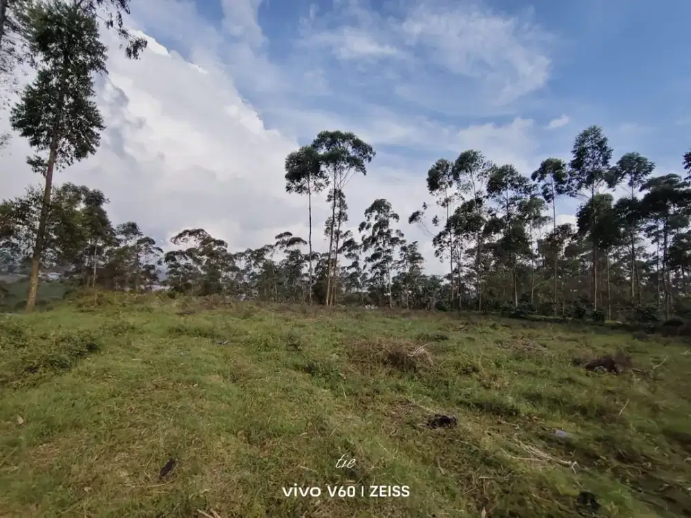 Dijual Tanah Padat Arah Danau Situ Cileunca Pangalengan Bandung