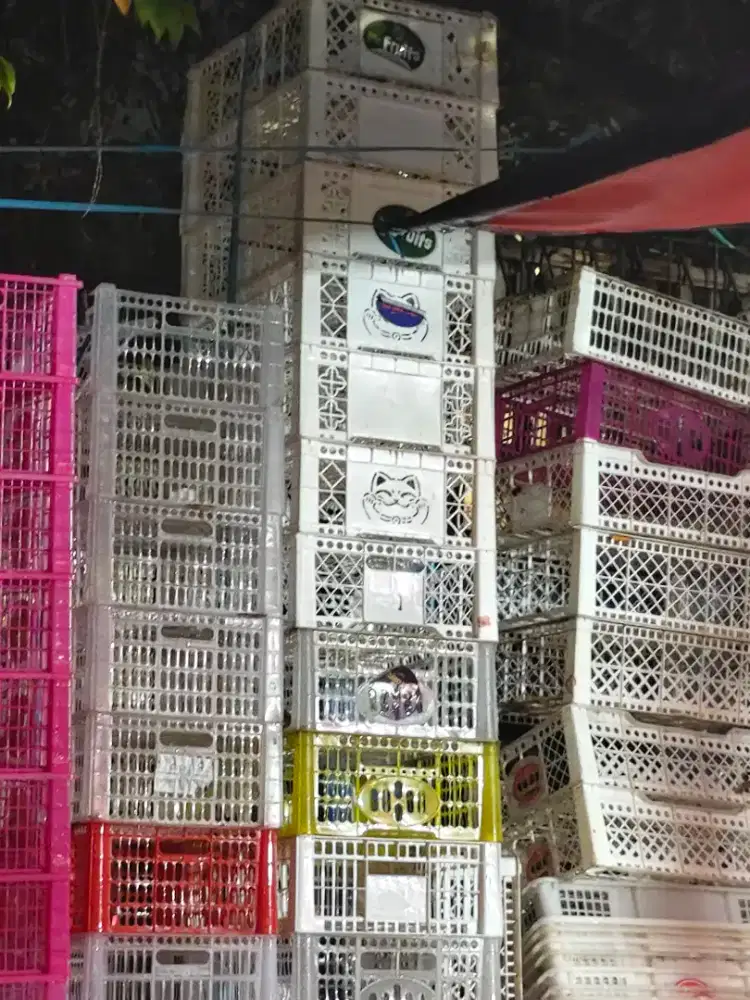 Keranjang Bekas Buah