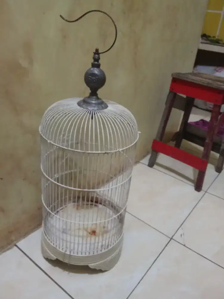 Kandang LB merah besar..putih kecil murah borongan