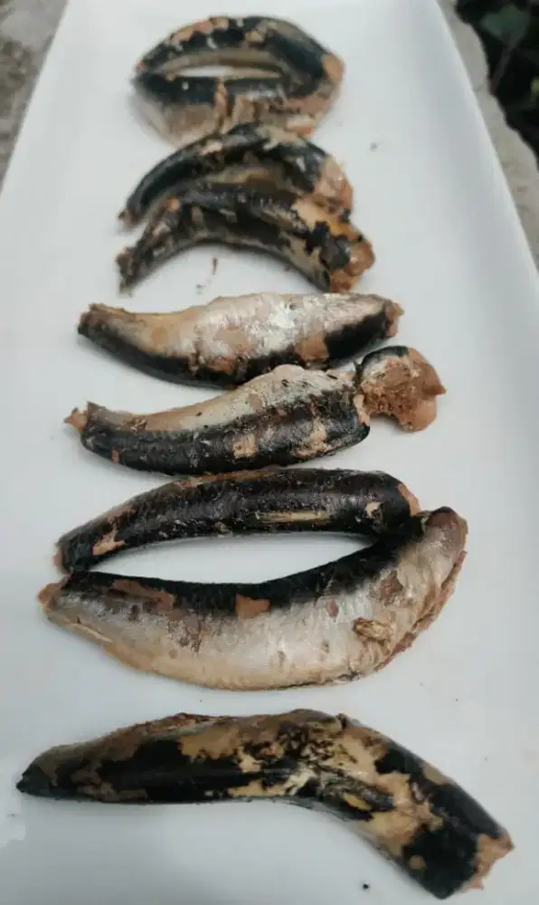 Personal Asisten Wanita