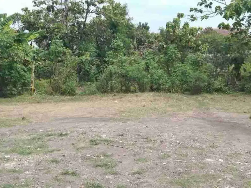 Tanah Luas 10318m² Harga Nego Lokasi Strategis Akses Mudah (BD)